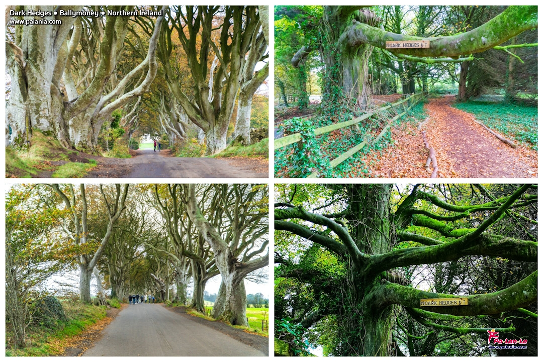 Top 10 Travel Destinations in Northern Ireland